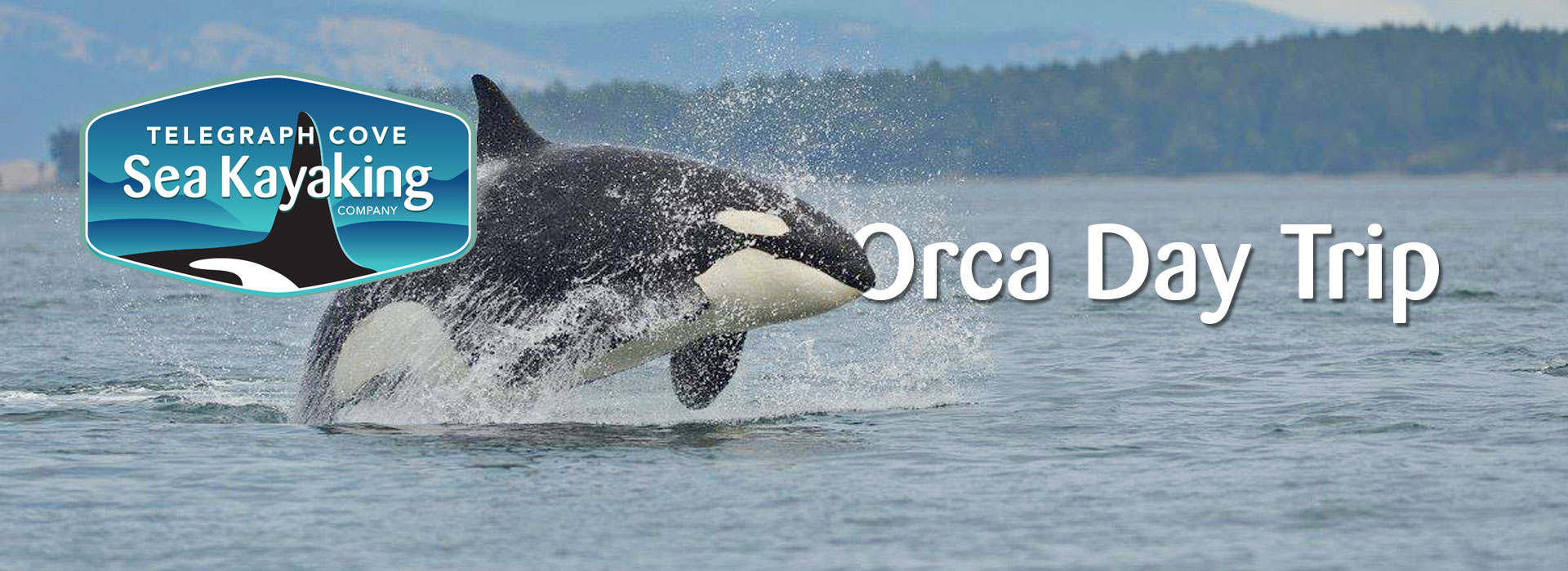 Custom Orca Kayak Day Trips - Telegraph Cove, Vancouver Island