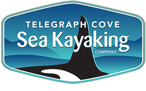 Telegraph Cove Kayaks Vancouver Island BC